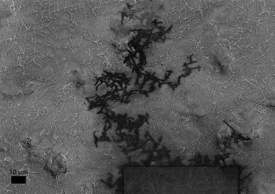 crann_nanowires crann_nanowires
