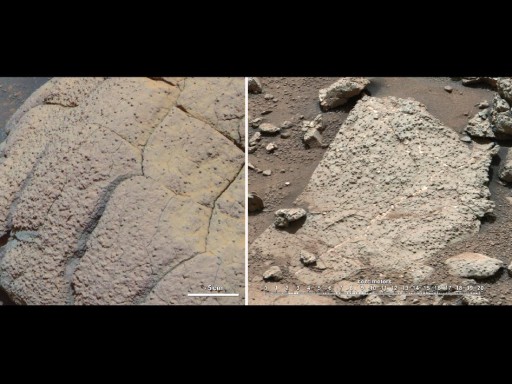 curiosity_samples