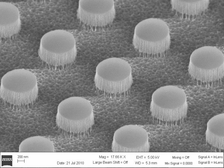 decuzzi_nanoparticles decuzzi_nanoparticles