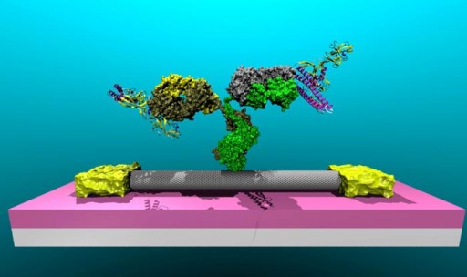 detecting_prostate_cancer
