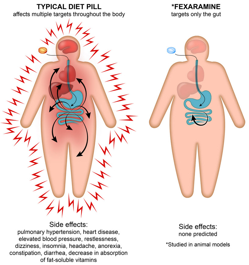 diet effects