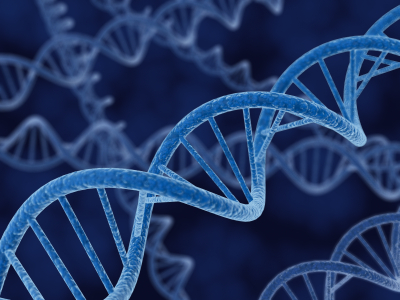 dna (2)