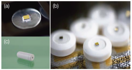 edible sensor