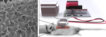 electromagnetic drug delivery