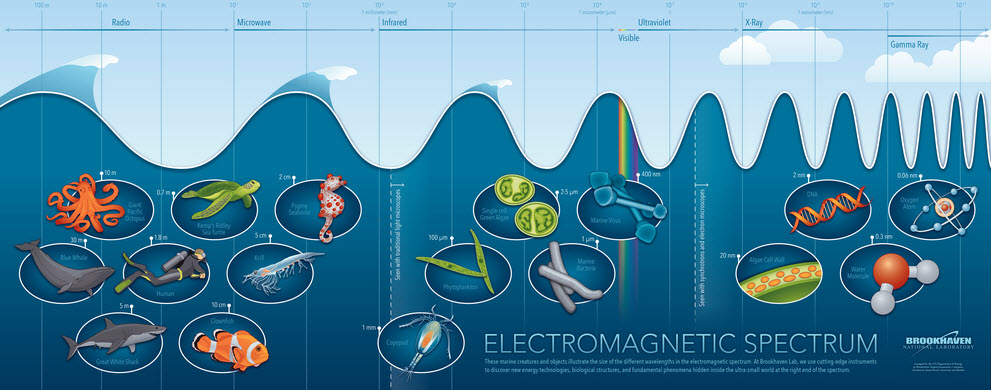 electromagnetic-infographic