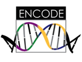 encodeproject