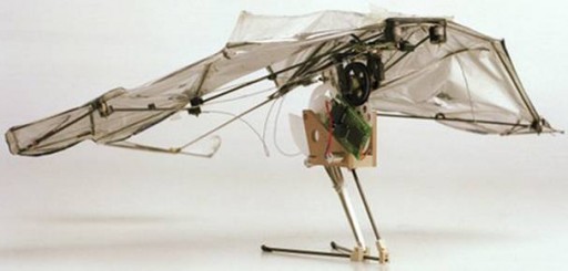 epflfoldwings
