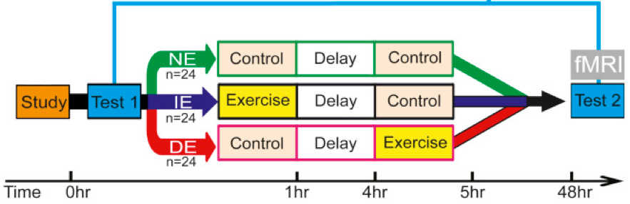 exercise test