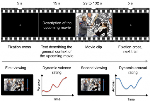 fMRI studies of movies