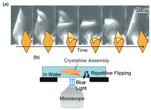 flipping crystal