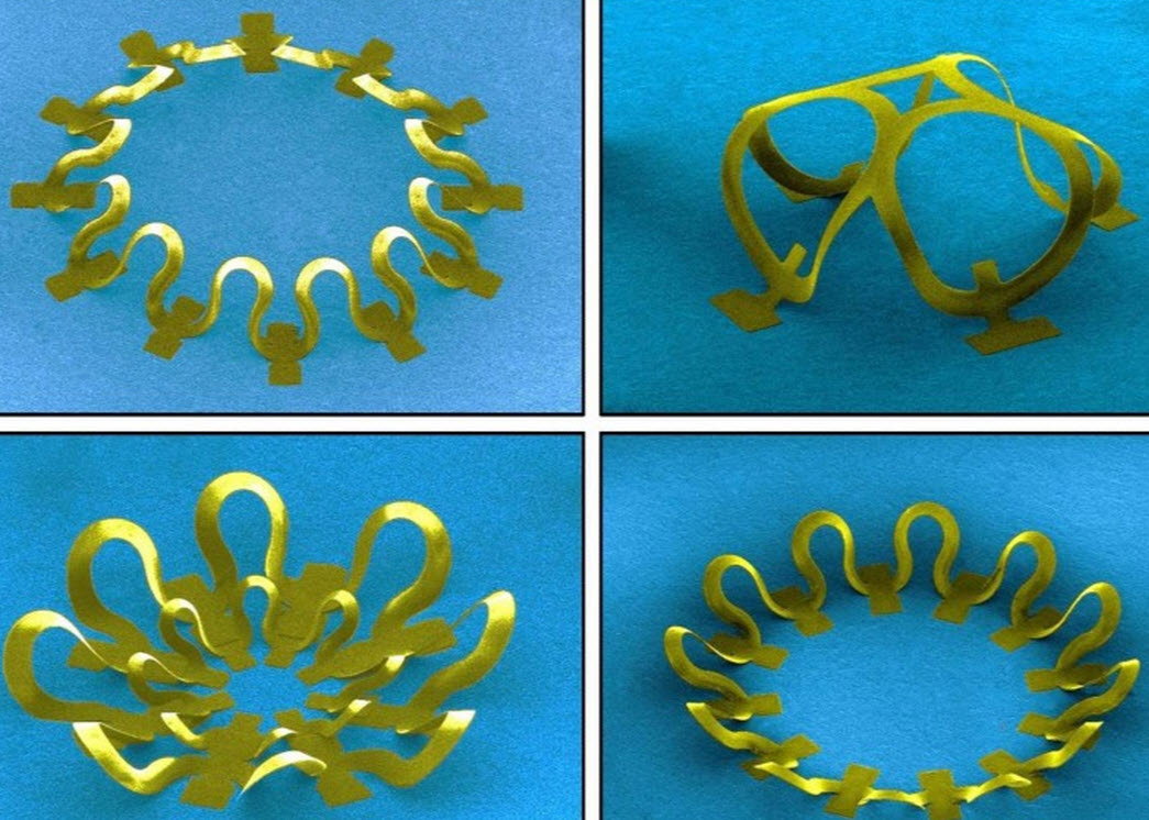 flower-like structures