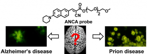 fluorescent_probes