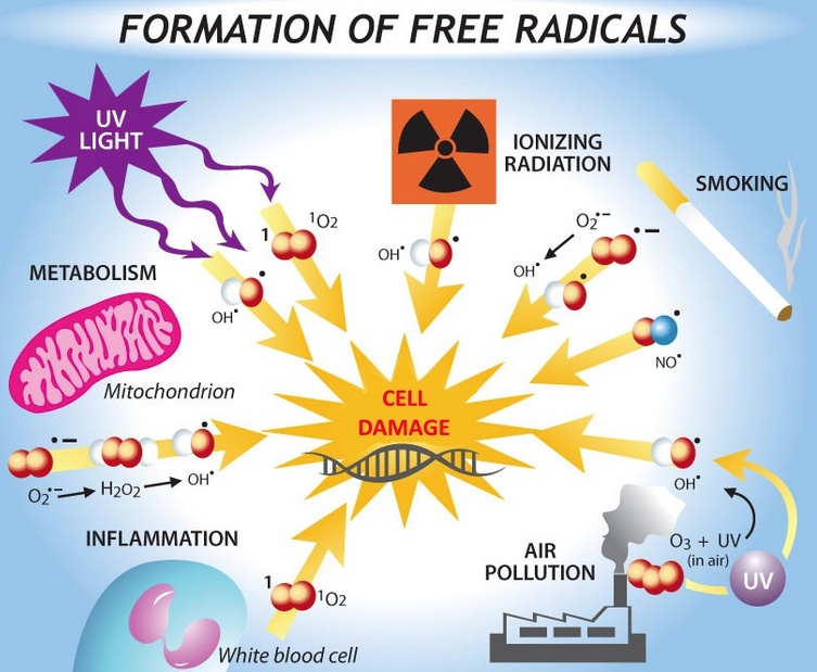 formation of free radicals