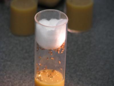 fruit_flies_low_cal