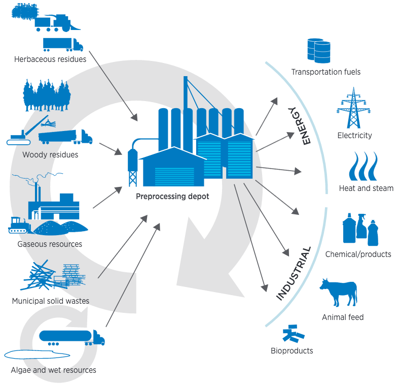future_feedstock_supply_system