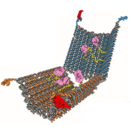 gatednanorobot1c