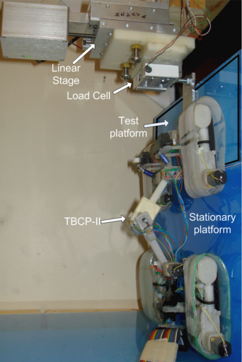 Gecko robot