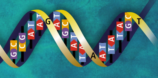genome