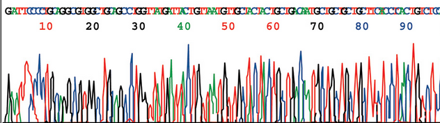 genome sequence trace