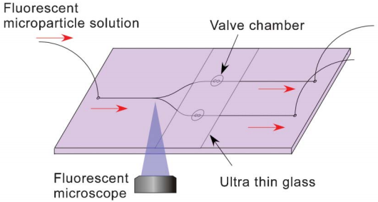 glass-based microchip