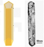 gold nanotube