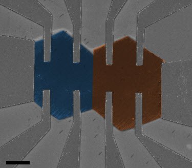 graphene grain boundary