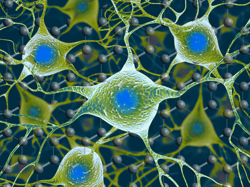 graphene-neural interface
