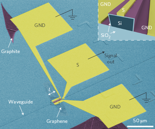 graphene photodetector