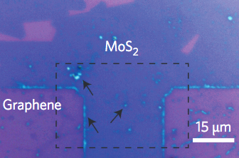 graphene – MoS 2 heterostructure