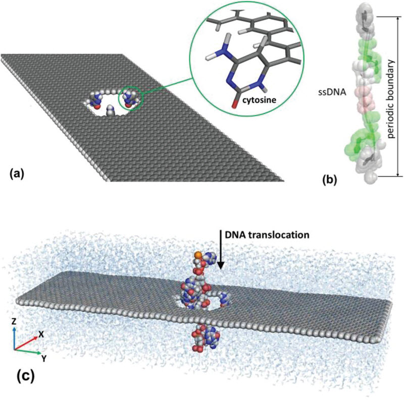 graphene_nanoribbon_model
