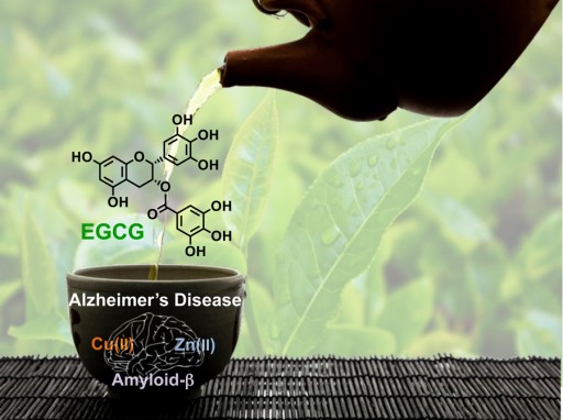 green_tea_alzheimer