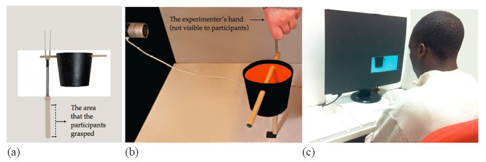haptic_torque_perception haptic_torque_perception
