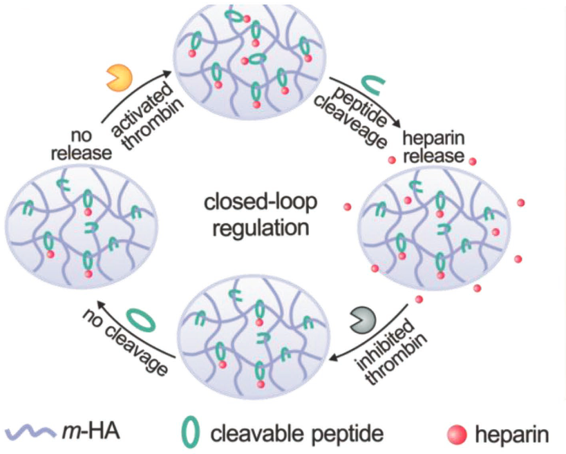 heparin delivery system