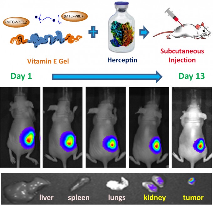 herceptin_vitamine_e_gel_large