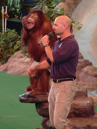 human_and_ape