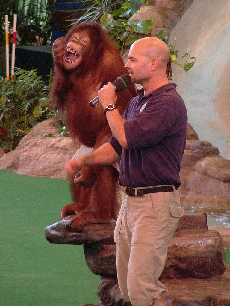 human_and_ape human_and_ape