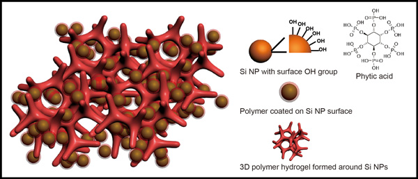 hydrogel_silicon_nanoparticles hydrogel_silicon_nanoparticles
