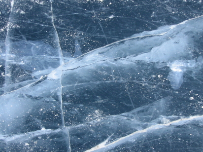 Applied Cryobiology