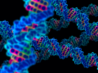Biotechnology and Bioinformatics Symposium