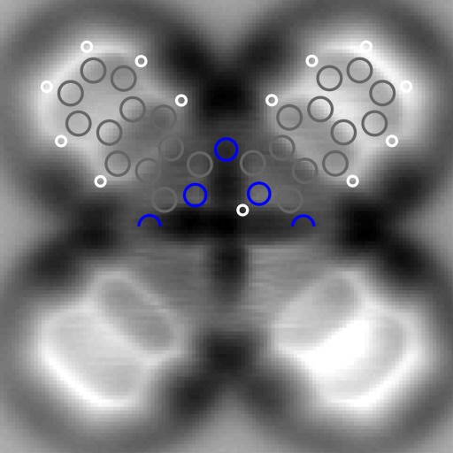 ibmmolecule2