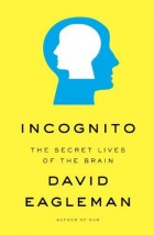 Incognito book cover