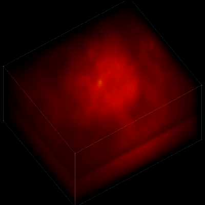 individual-neurons-without-the-algorithm