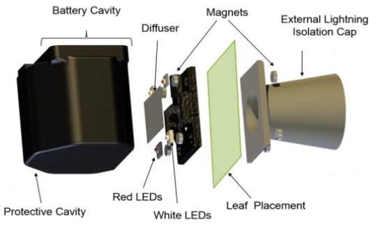 leaf illuminator