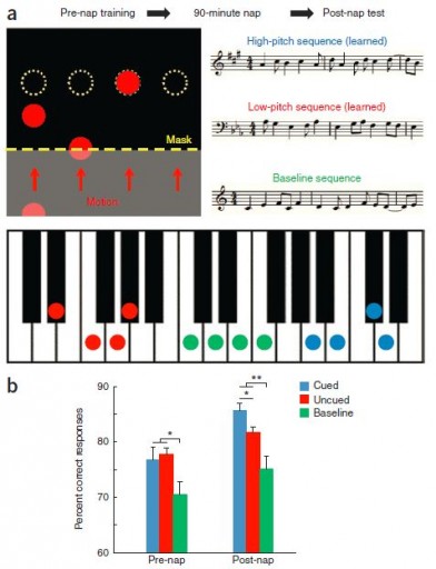 learning_tunes_asleep