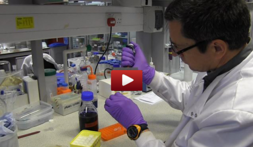liverpool_nerve_regeneration