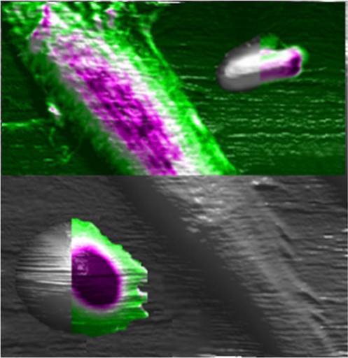 Living cells at the nanoscale