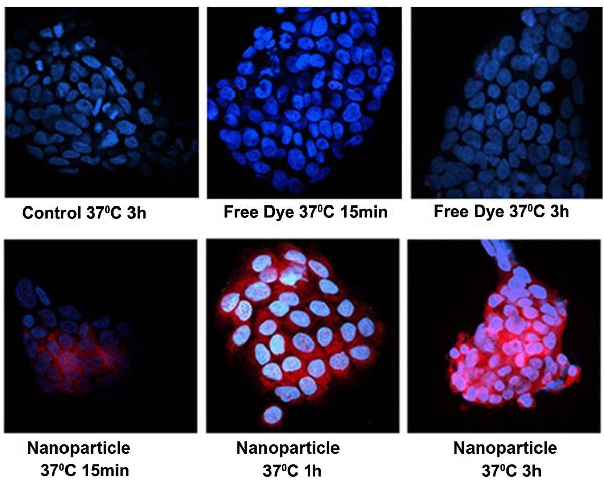 luteolin_nano luteolin_nano