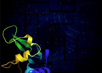 lysozyme-updated