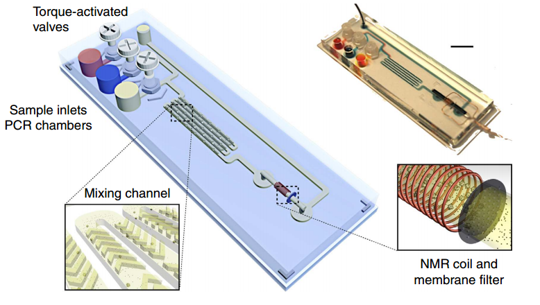 magnetic barcode assay