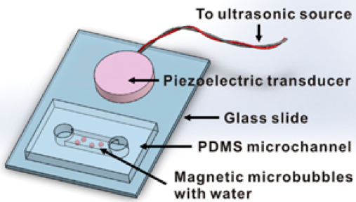 magnetic microbubble nanoparticle release setup